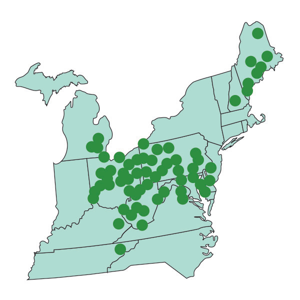 matheson propane service